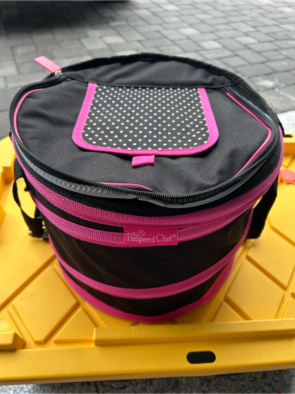 Retired Rare Pampered Chef On-The-Go Insulated Collapsible Cooler